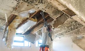 Best Asbestos and Lead Testing During Mold Inspection  in Lake Geneva, WI